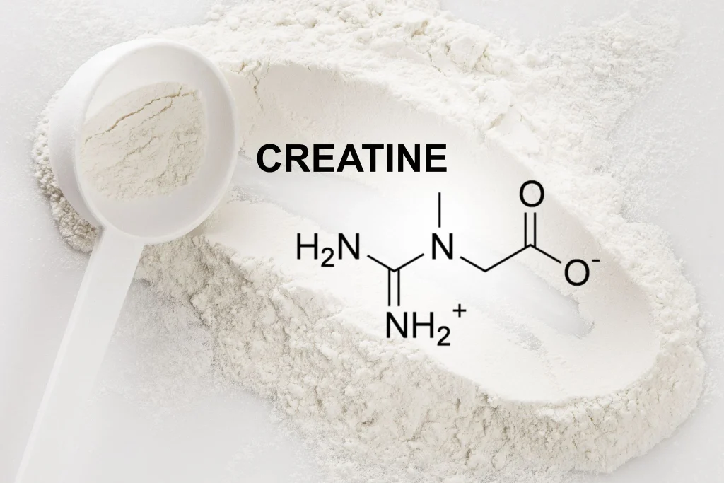 cara kerja creatine